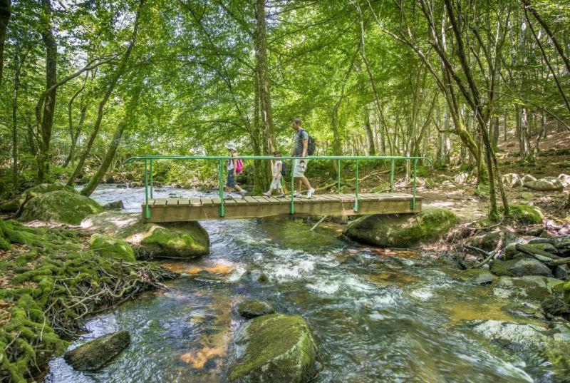 Studio En Auvergne Le Ruisseau Apartment Saint-Priest-Bramefant Luaran gambar